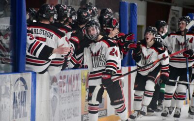 Wings host Bruins for Game 3