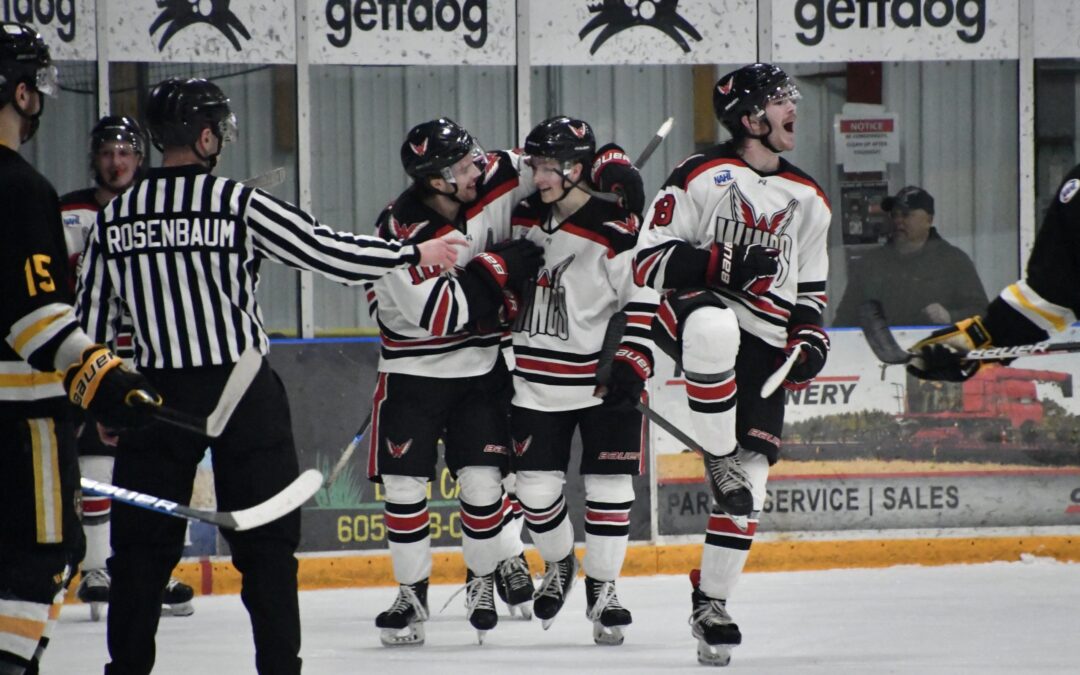 Wings ride 4-game win streak into division finals