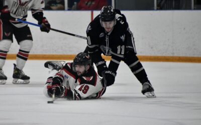 Wings fall in triple OT in Game 3