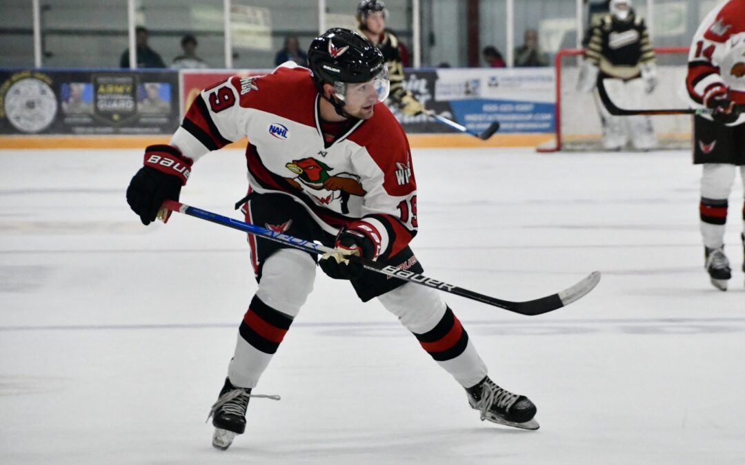 Wings’ comeback push falls short Saturday