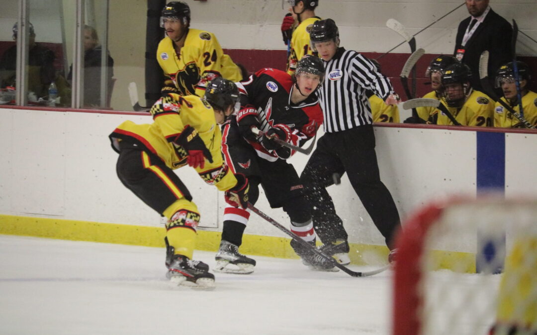 Black Bears deliver Wings’ first loss