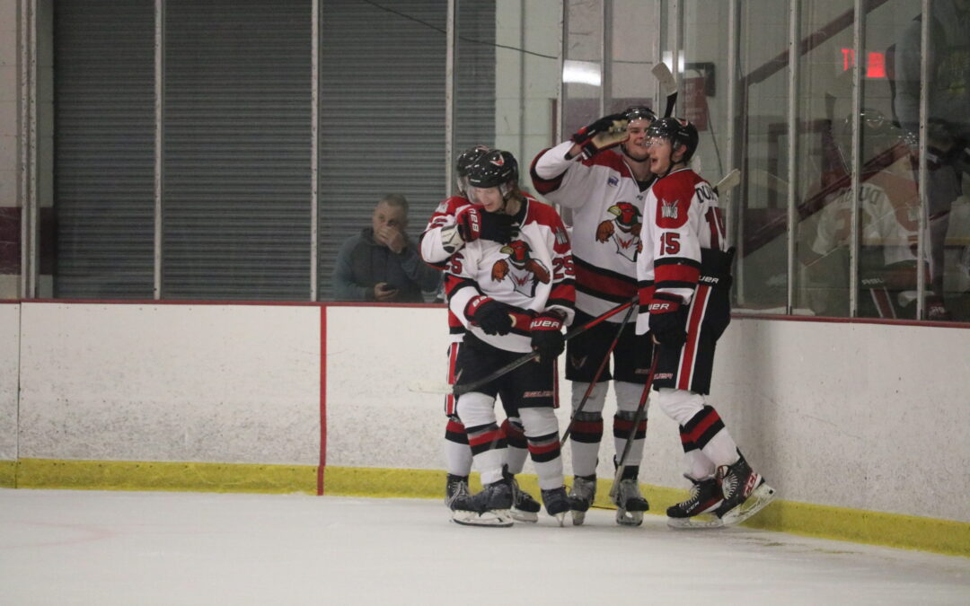 Strong third lifts Wings over Odessa 5-2
