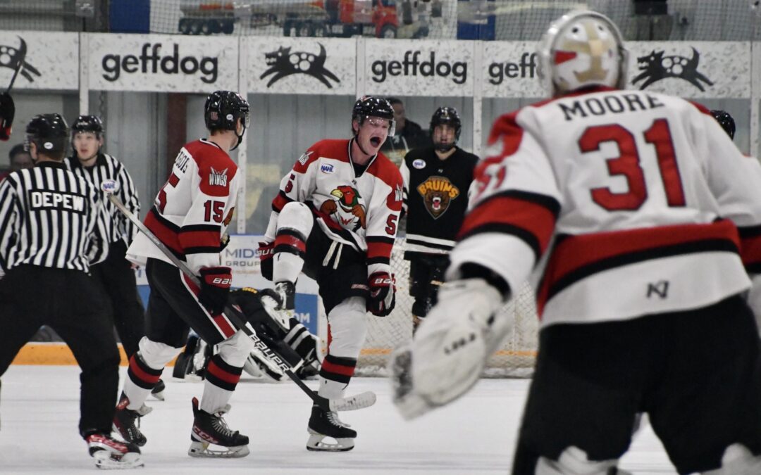 Wings grab thrilling OT win Saturday