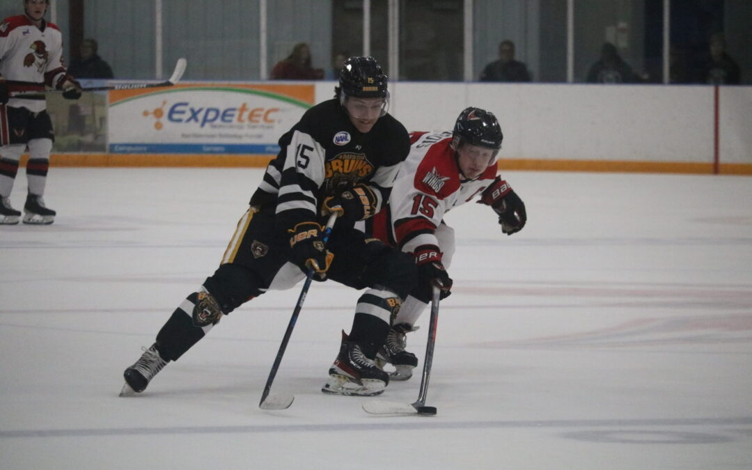 Wings fall to Austin 4-1 Friday