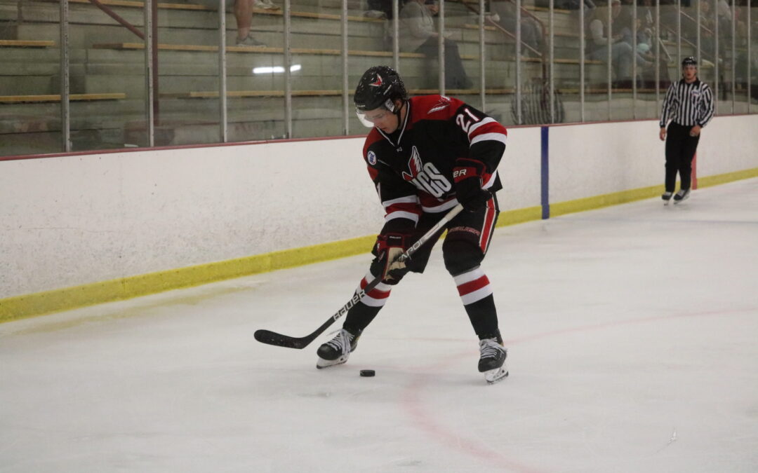 Wings fall 2-1 in shootout Friday