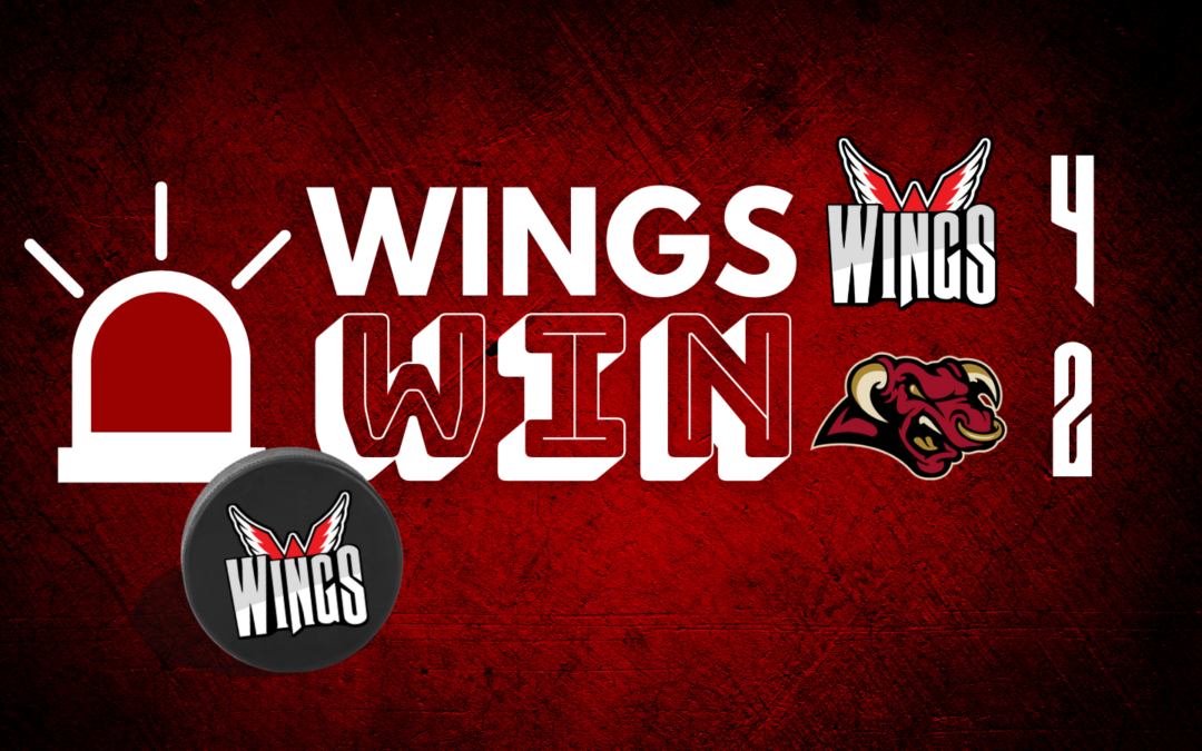 Wings soar to 4-2 win Saturday night