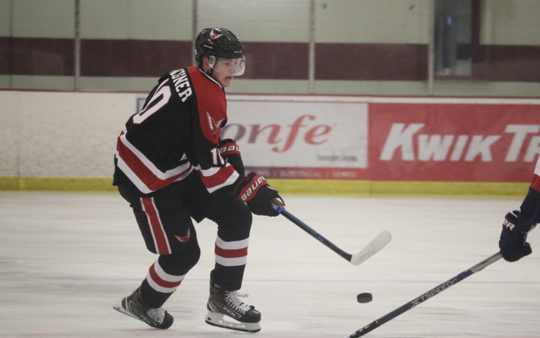 Third period sinks Wings Friday