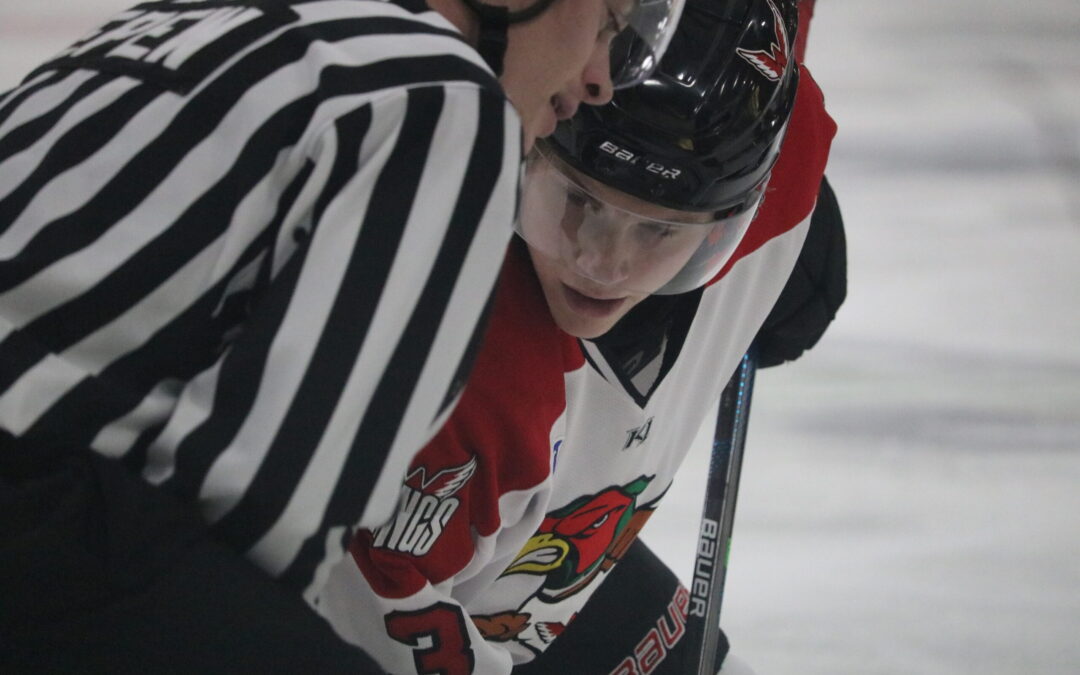 Turnovers plague Wings in Friday loss