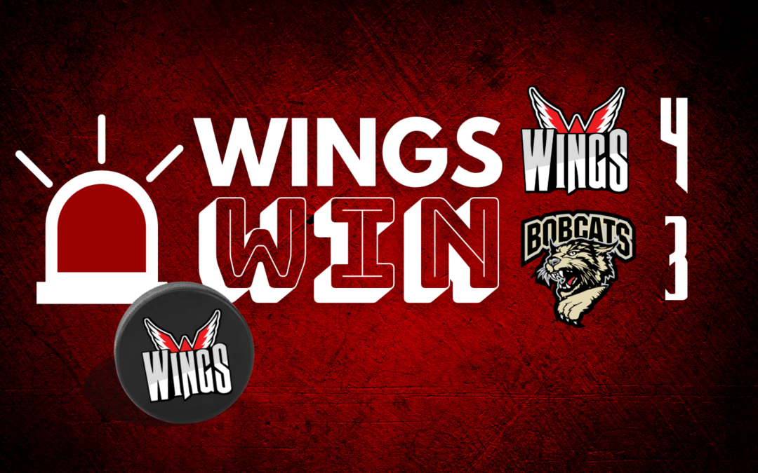 Wings rebound for big OT road win