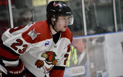 Wings Come Back Falls Short In OT