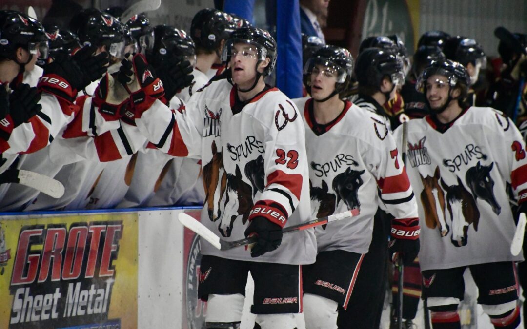 Early goal not enough for Wings Saturday