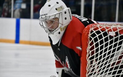 Wings Move Into Second Place With a 4-1 Friday Win