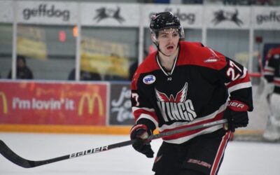 Wings fall 2-0 Friday in Iowa