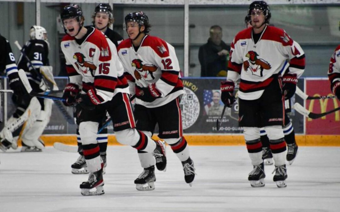 DuBois Nets 4, as Wings Win 9-1
