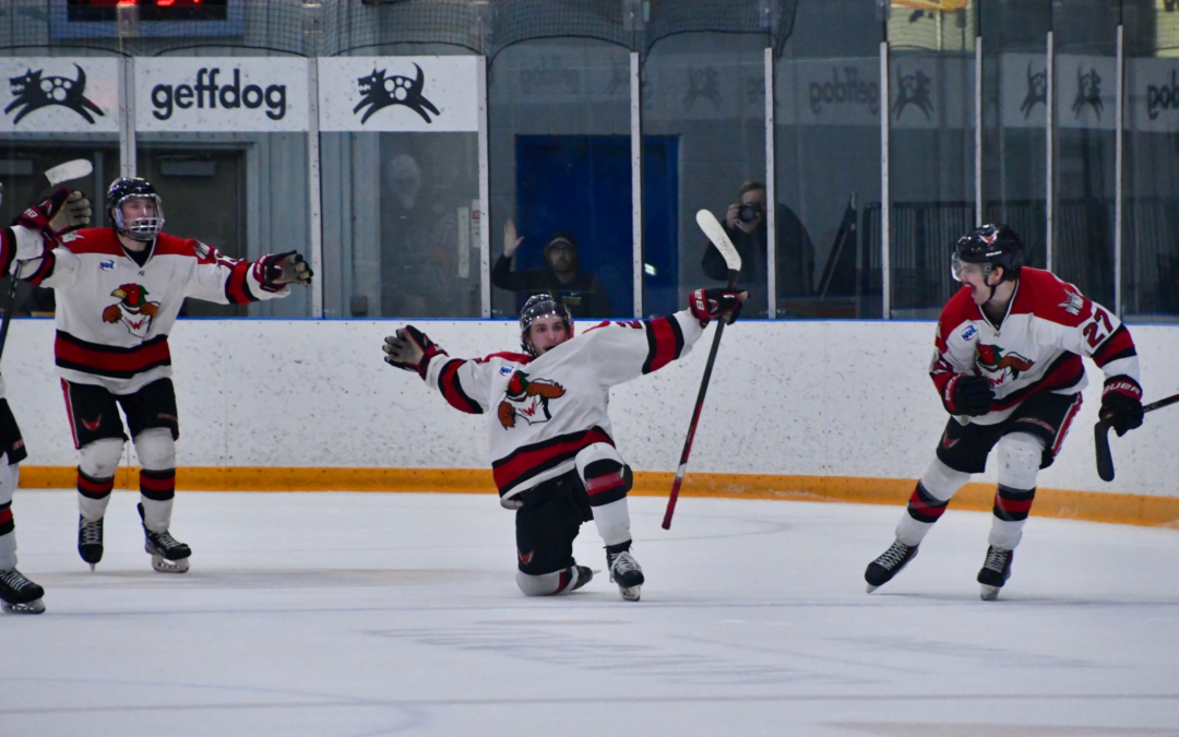 Wings Move Into 2nd Place With Weekend Sweep