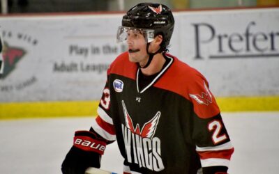 Wings Drop A Pair In Bismarck