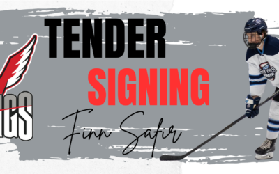 Wings Sign Defenseman Finn Safir To Tender