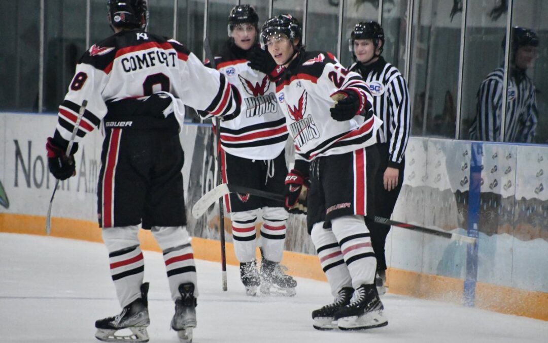 Wings Take Two From Estevan