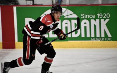 Wings Take Game 1 At Mallards
