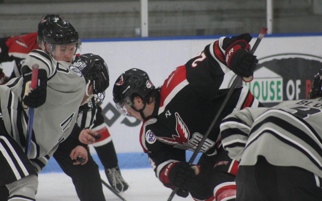 Wings Take Their Third Loss of the Season at St. Cloud