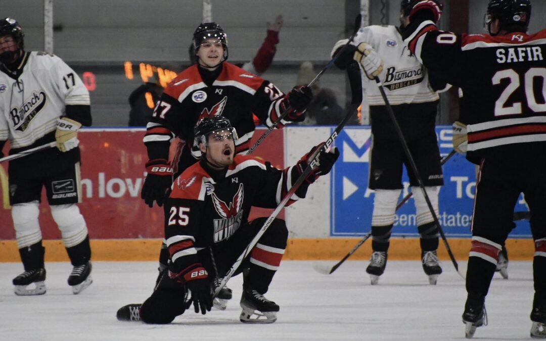 Wings Hold Tight Game VS Bismarck, But Eventually Fall in Third Period