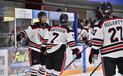 Wings Grab Another Pre Season Sweep Ahead of Regular Season Action!