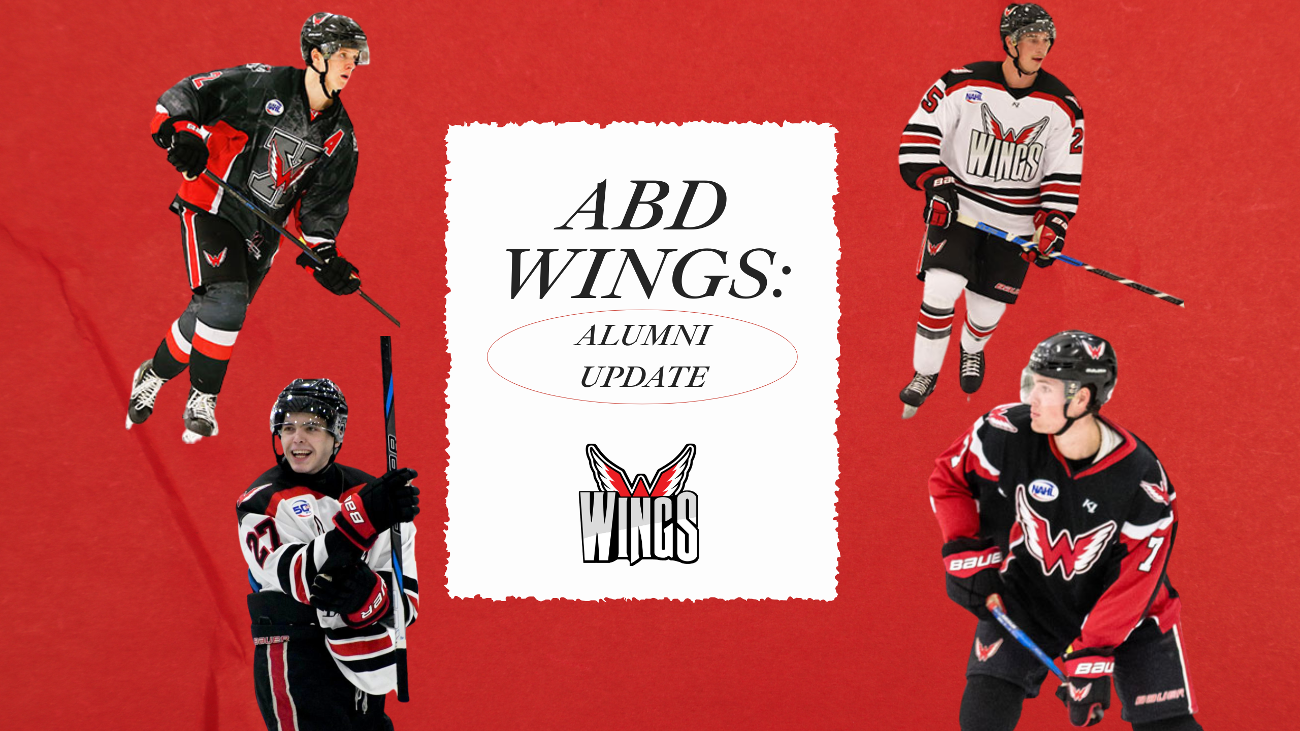 2025-2026 Aberdeen Wings Alumni Update!