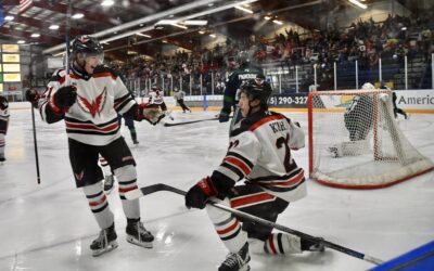 Wings Split with Bulls: Get 3 of 4 Possible Points on the Weekend!