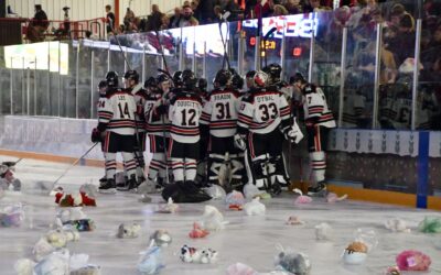 Wings Split with Minot, but Win on Shriners Teddy Bear Toss Night!