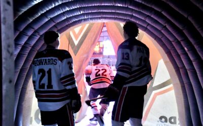 Weekend Recap: Wings Split Weekend, and 4-Game Series With the Bruins