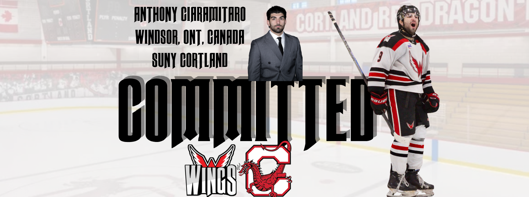 COMMITTED for Website (1820 x 680 px)