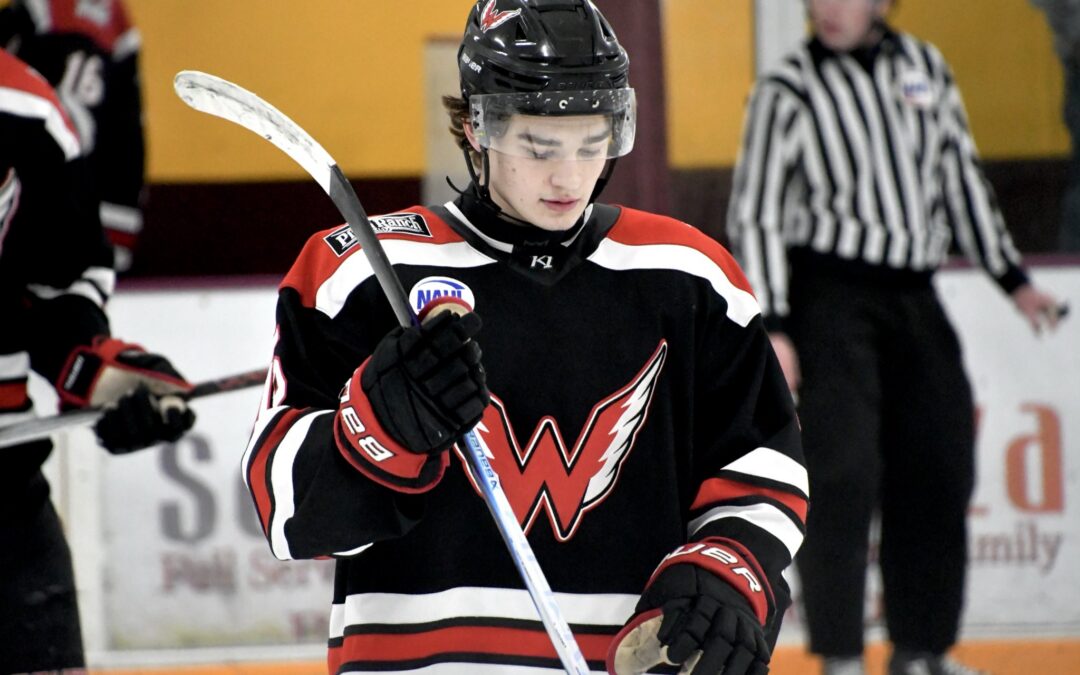 Weekend Recap: Wings Split With Minotauros in Last Full Regular Season Road Trip