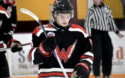 Weekend Recap: Wings Split With Minotauros in Last Full Regular Season Road Trip