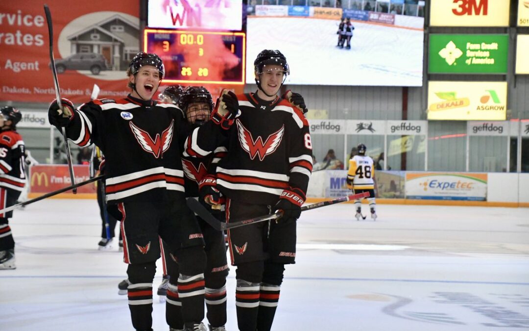 Wings Split Weekend Series vs. Austin